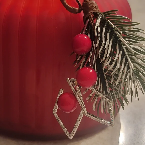 NIB Hoop Earrings Adornia - Picture 8 of 13